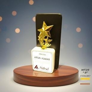 WT25 Gold, Silver, Bronze Trophy