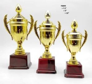 FB899 Trophy