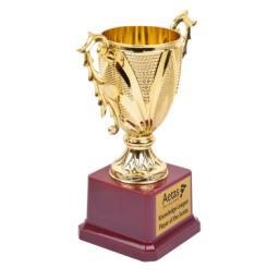 FB533 Trophy