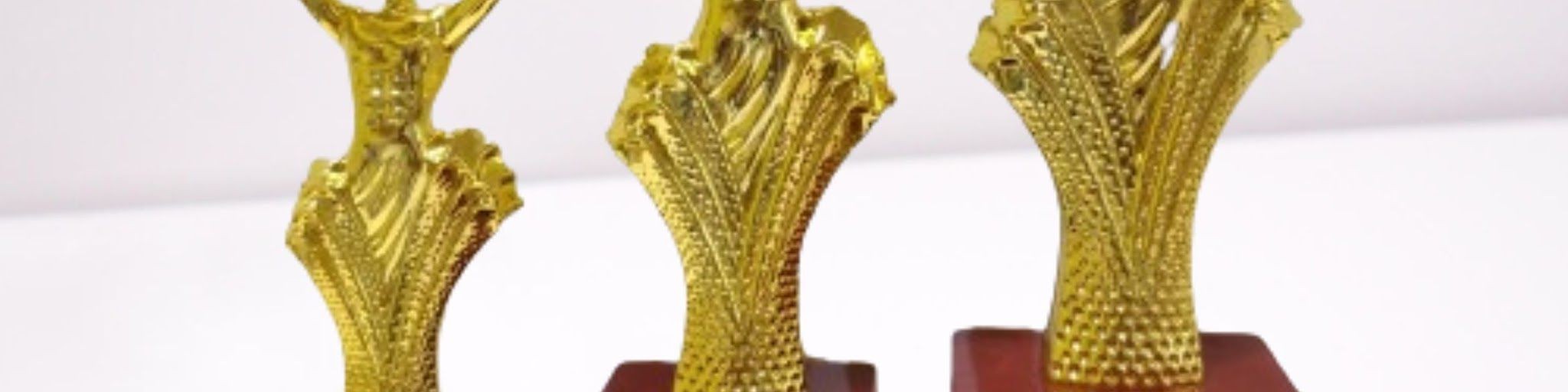 FB1211 Trophy