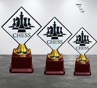 FB534 Trophy