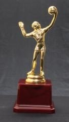FB427 Vollyball Trophy