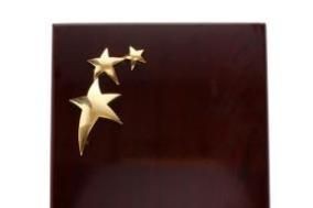 5105 Gold & Silver Trophy