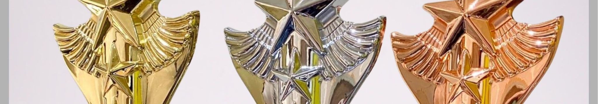 MT1316 11" Trophy