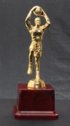 FB426 Vollyball Trophy