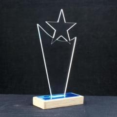 ACR1117 Trophy