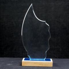 ACR1119 Trophy