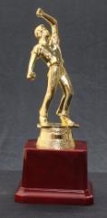 FB1213 Trophy