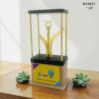 WT13 Trophy