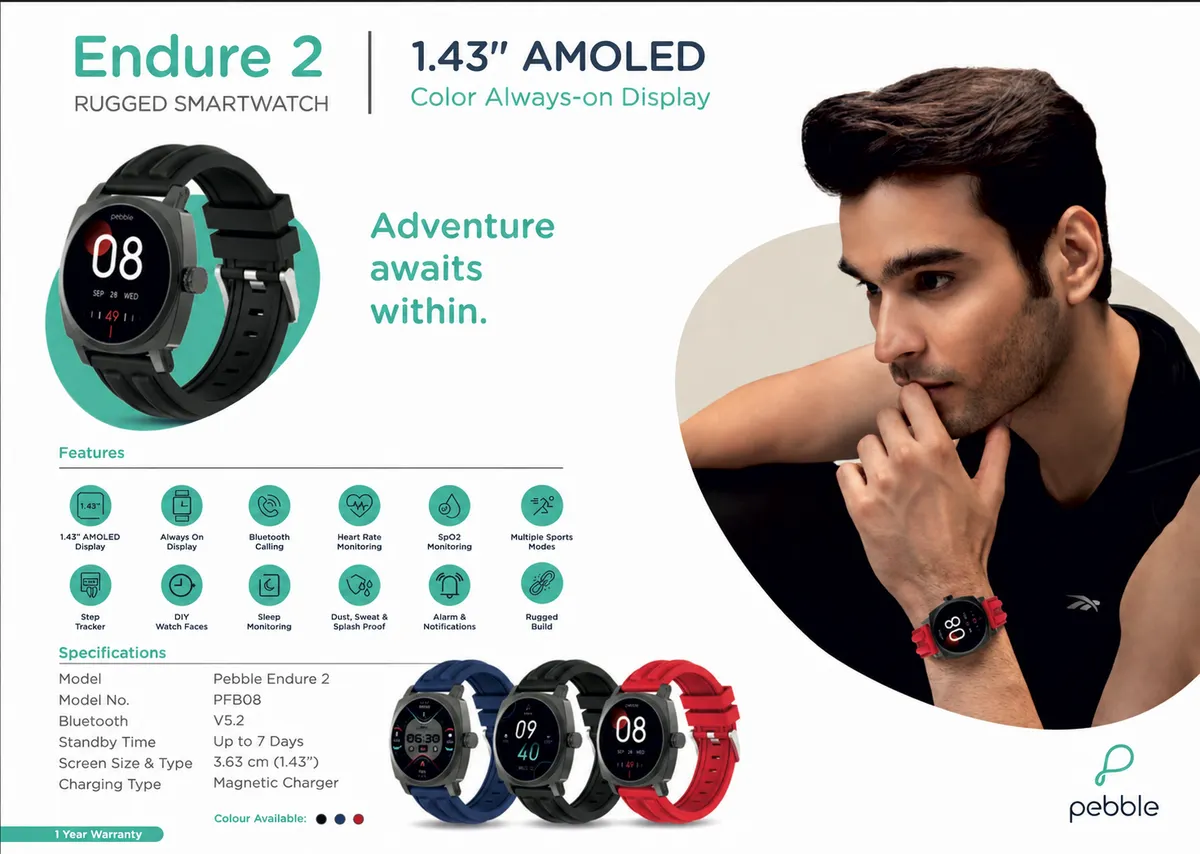 Pebble Endure 2